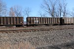 NS 10000